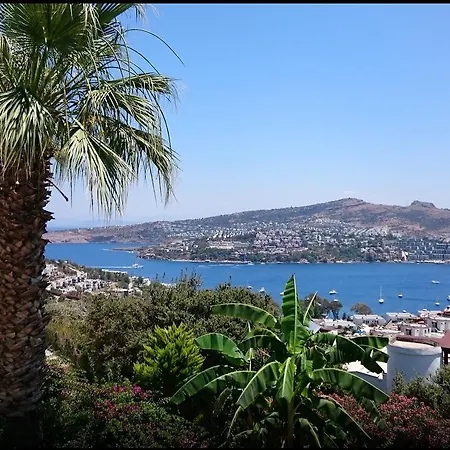 Bed & Breakfast Turkbuku Gundogan (Bodrum)